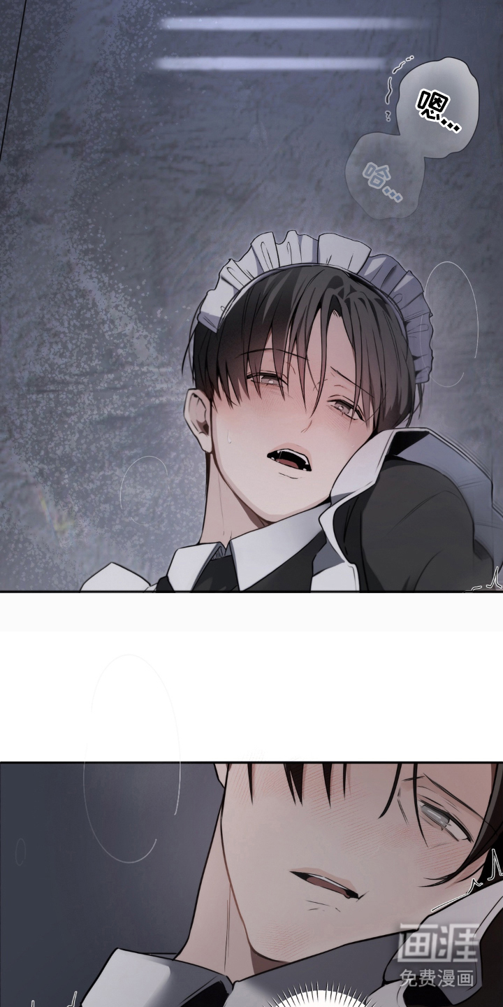 柜中女仆 第2章：被发现了 第11页