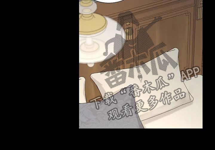 阿尔法伴侣 第155话 第15页
