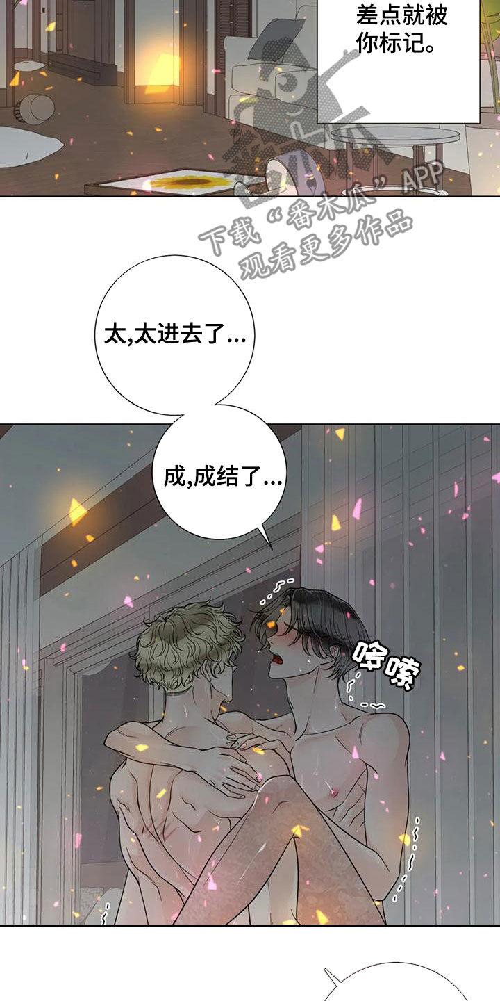 阿尔法伴侣 第144话 第10页