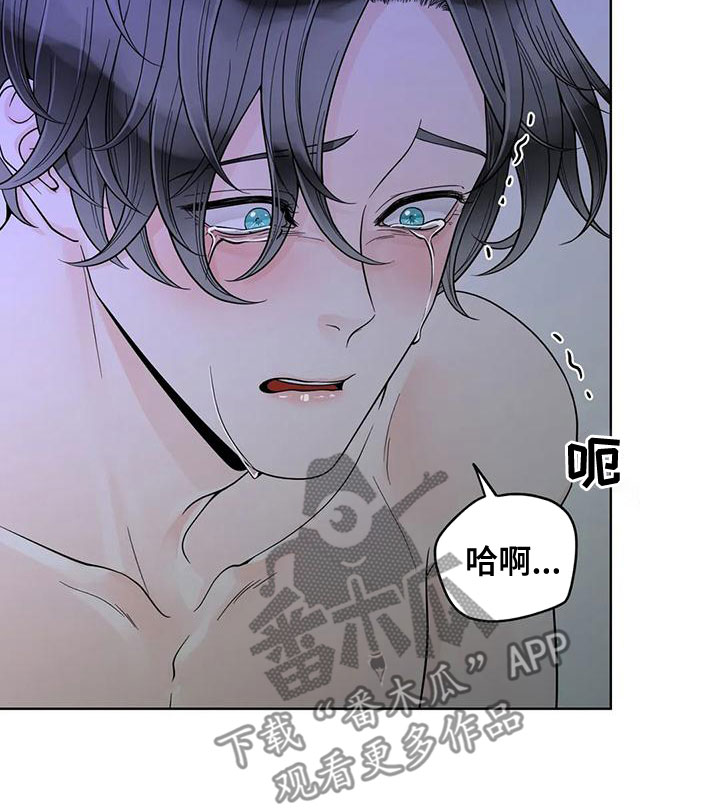 阿尔法伴侣 第135话 第14页