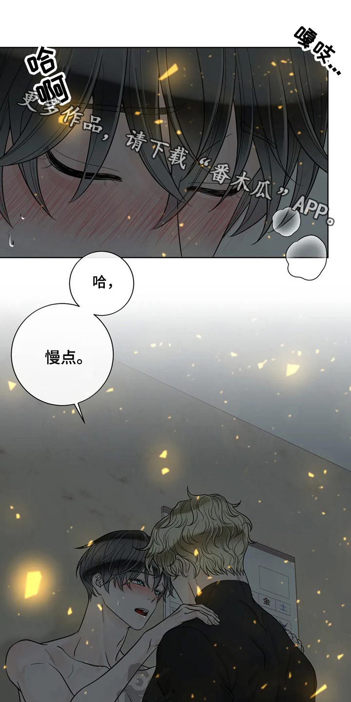 阿尔法伴侣 第116话 第1页