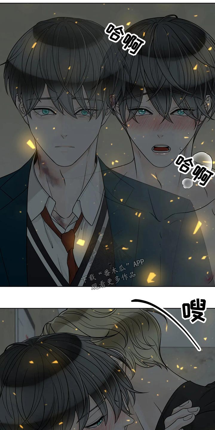 阿尔法伴侣 第116话 第10页