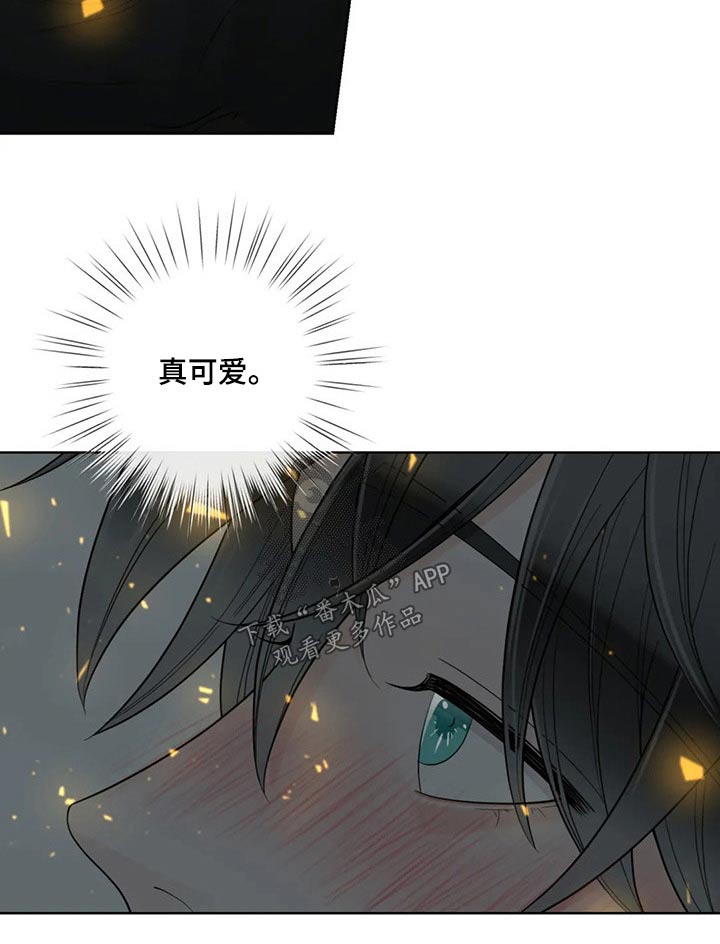 阿尔法伴侣 第115话 第5页