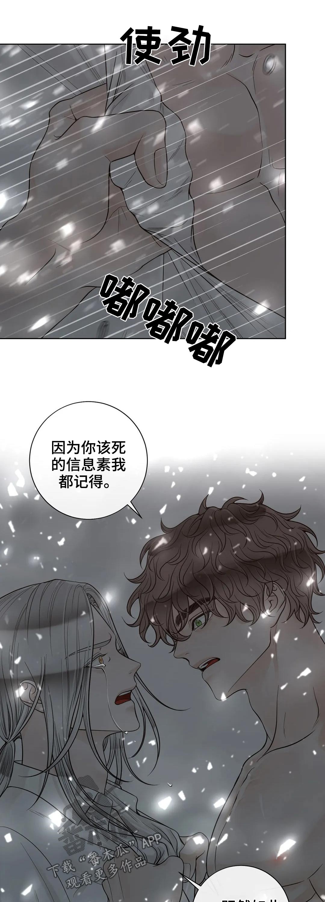 阿尔法伴侣 第112话 第11页