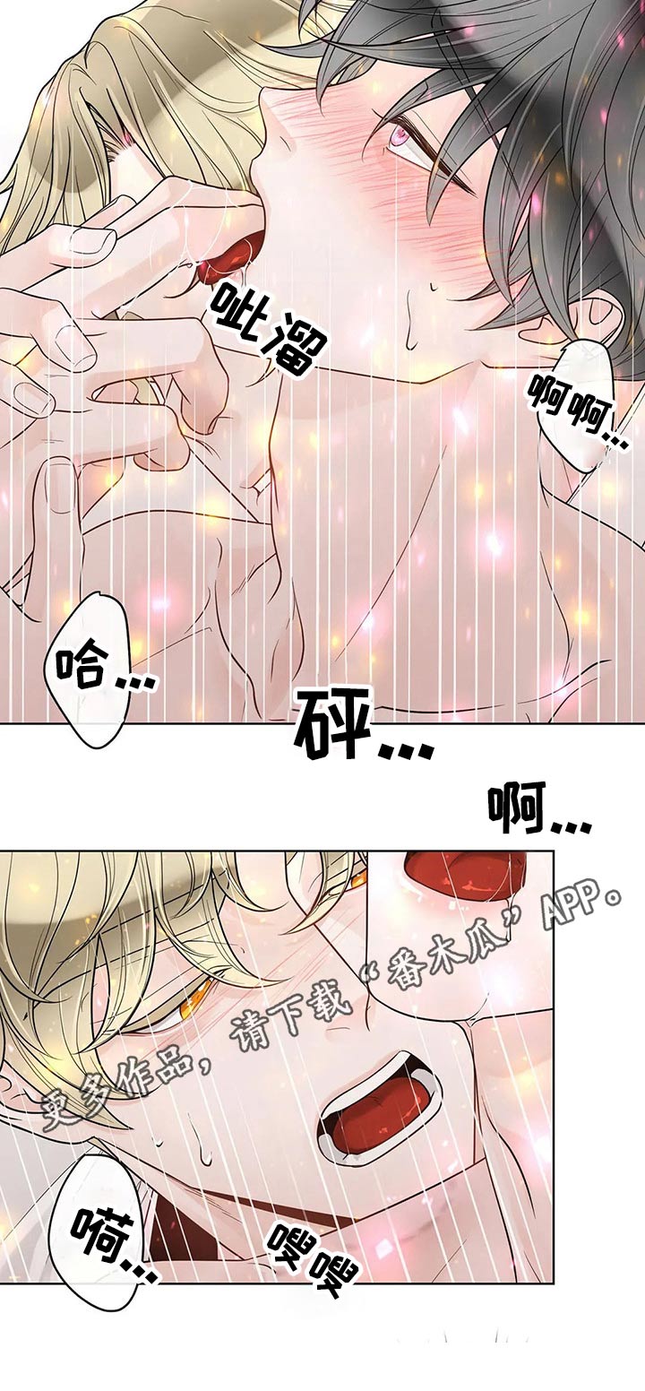 阿尔法伴侣 第107话 第10页