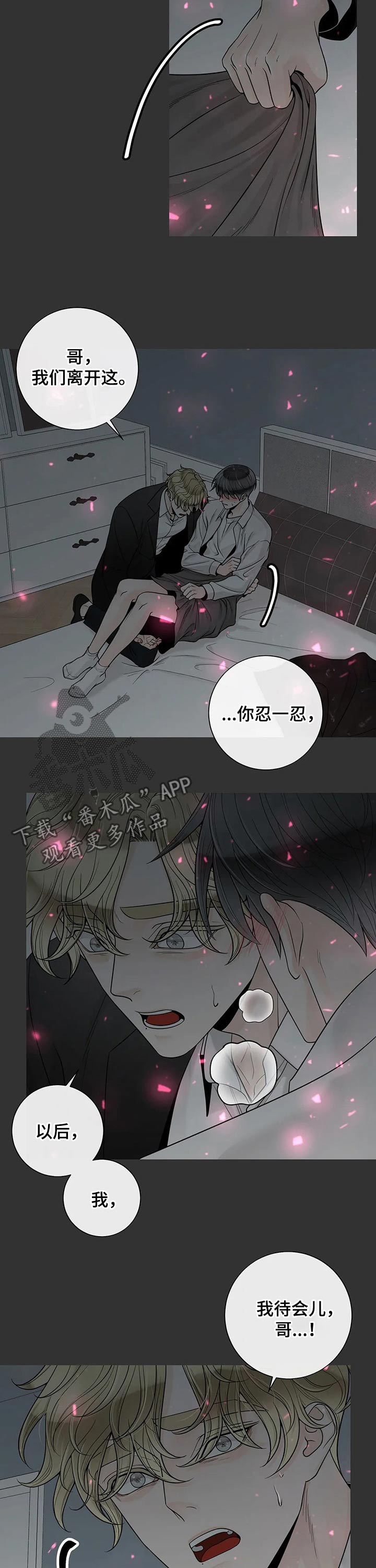阿尔法伴侣 第106话 第13页