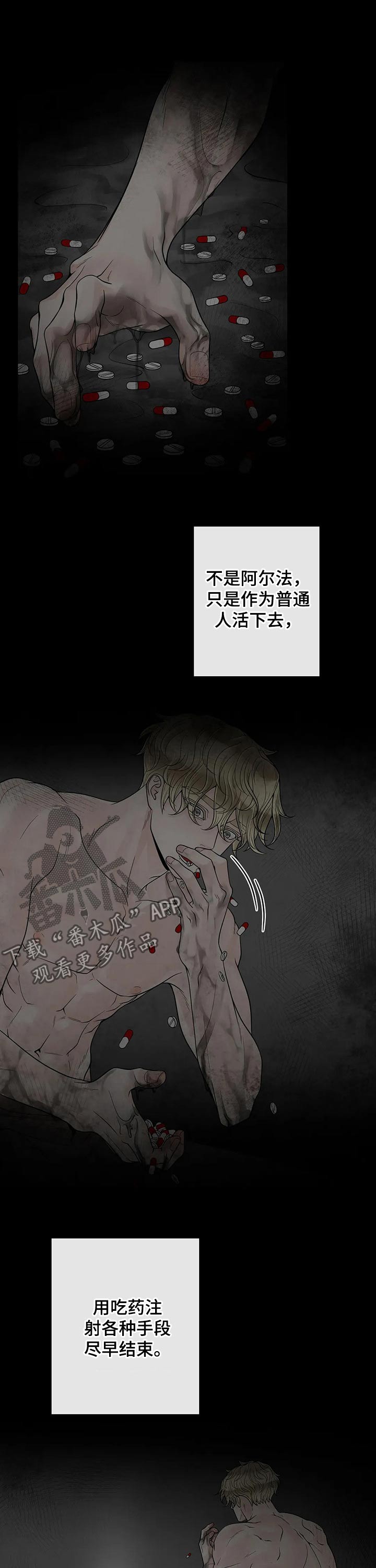 阿尔法伴侣 第105话 第6页