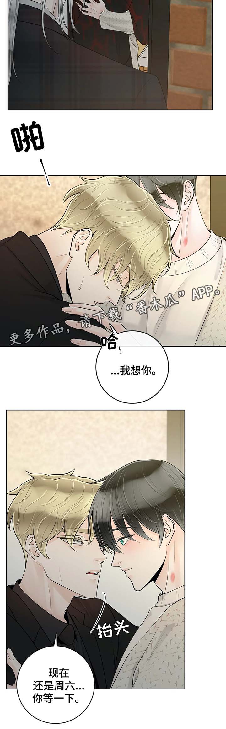 阿尔法伴侣 第52话 第9页