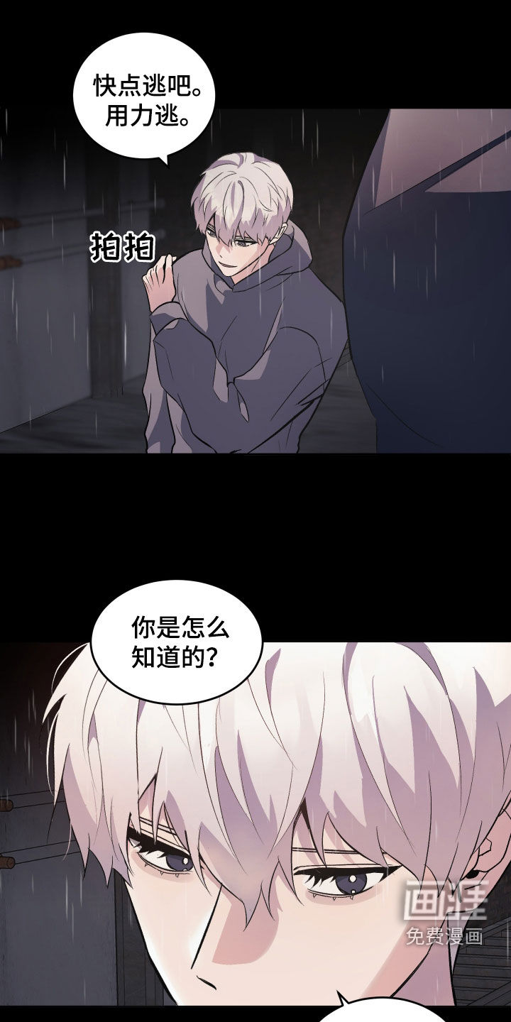 黑芝麻汤圆 第33话 第5页