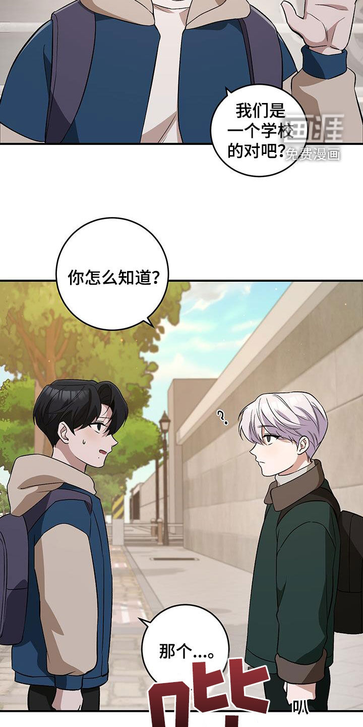 黑芝麻汤圆 第47话 第3页